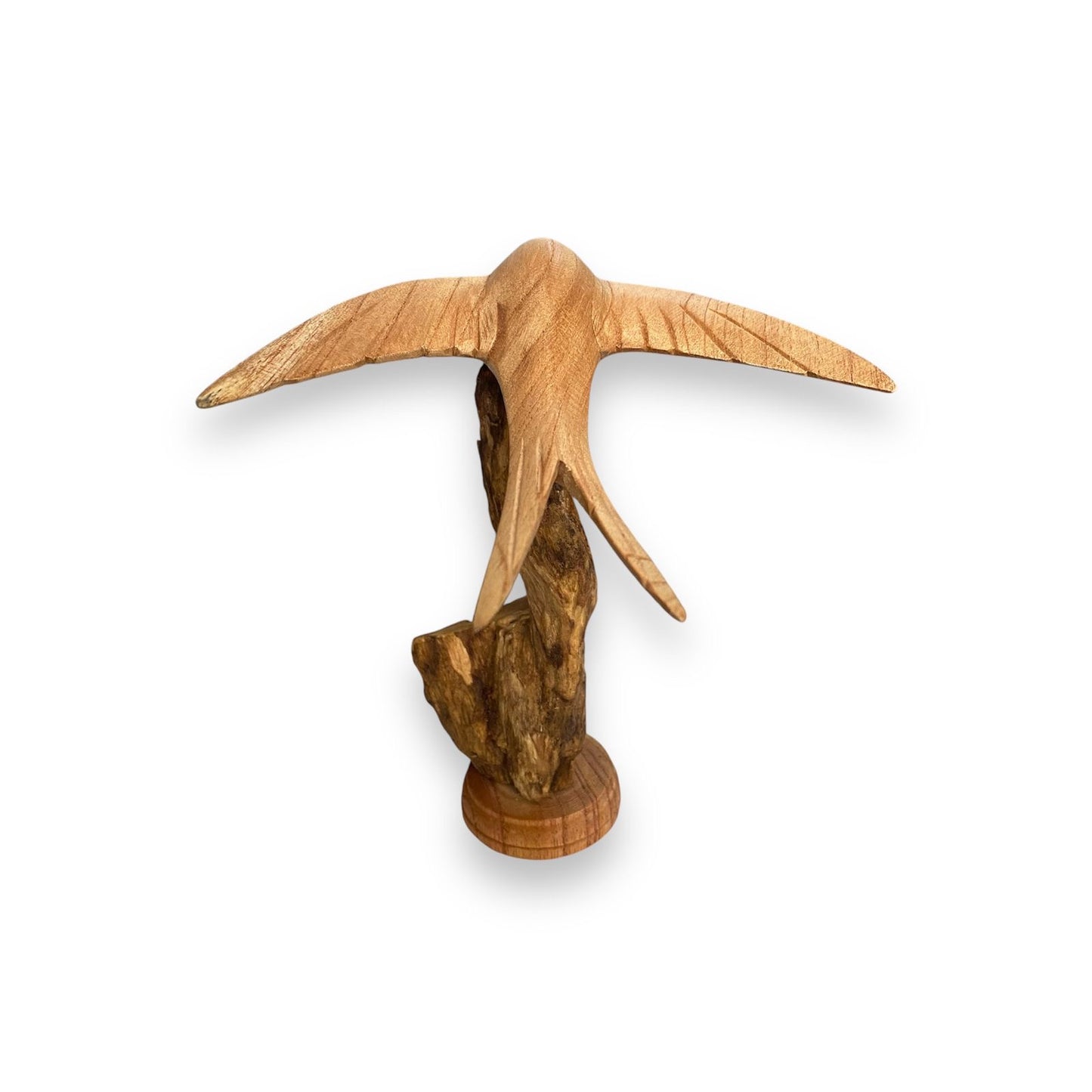 Zwaluw op rootwood - 20 cm