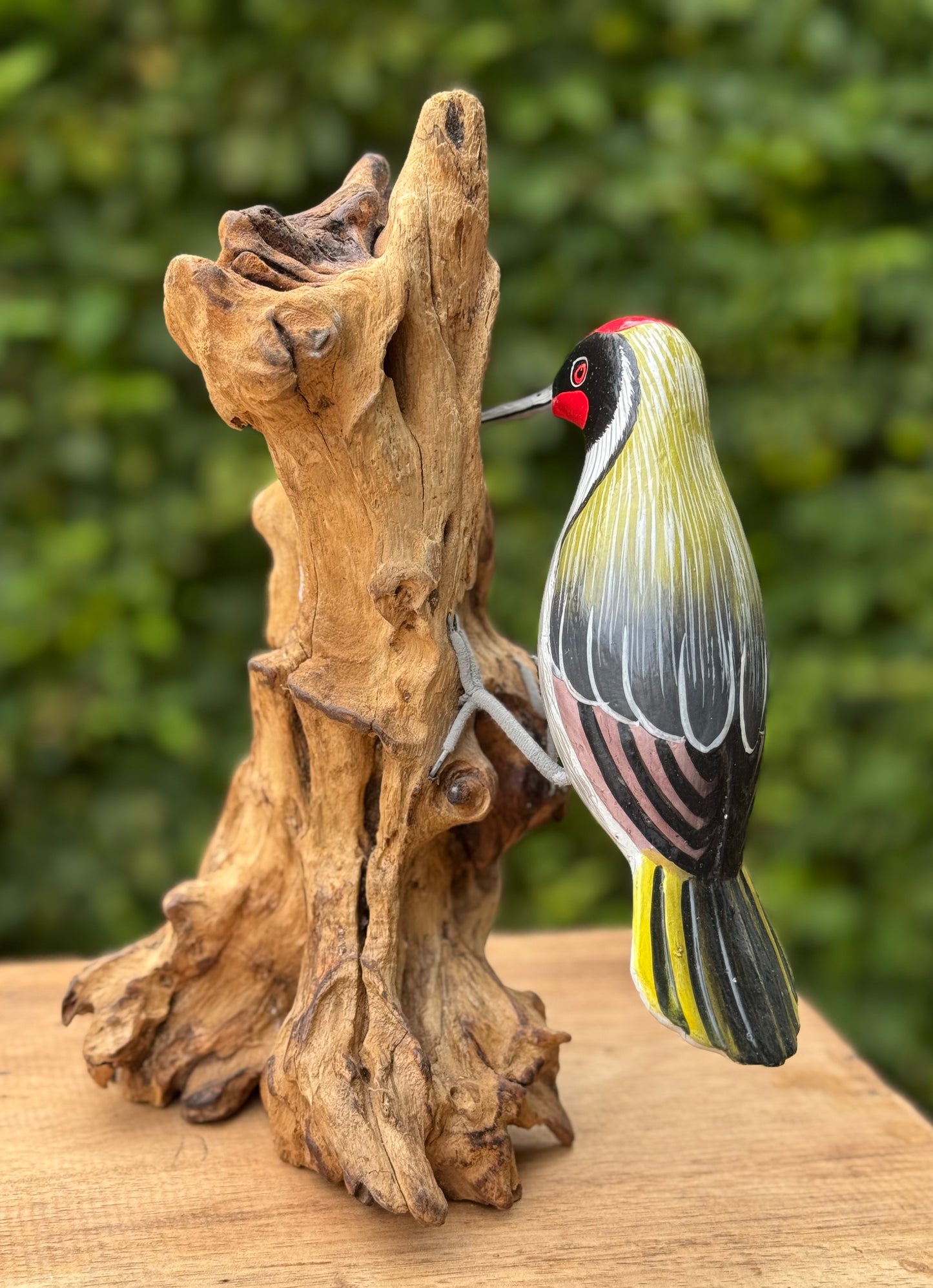 Specht tegen boom