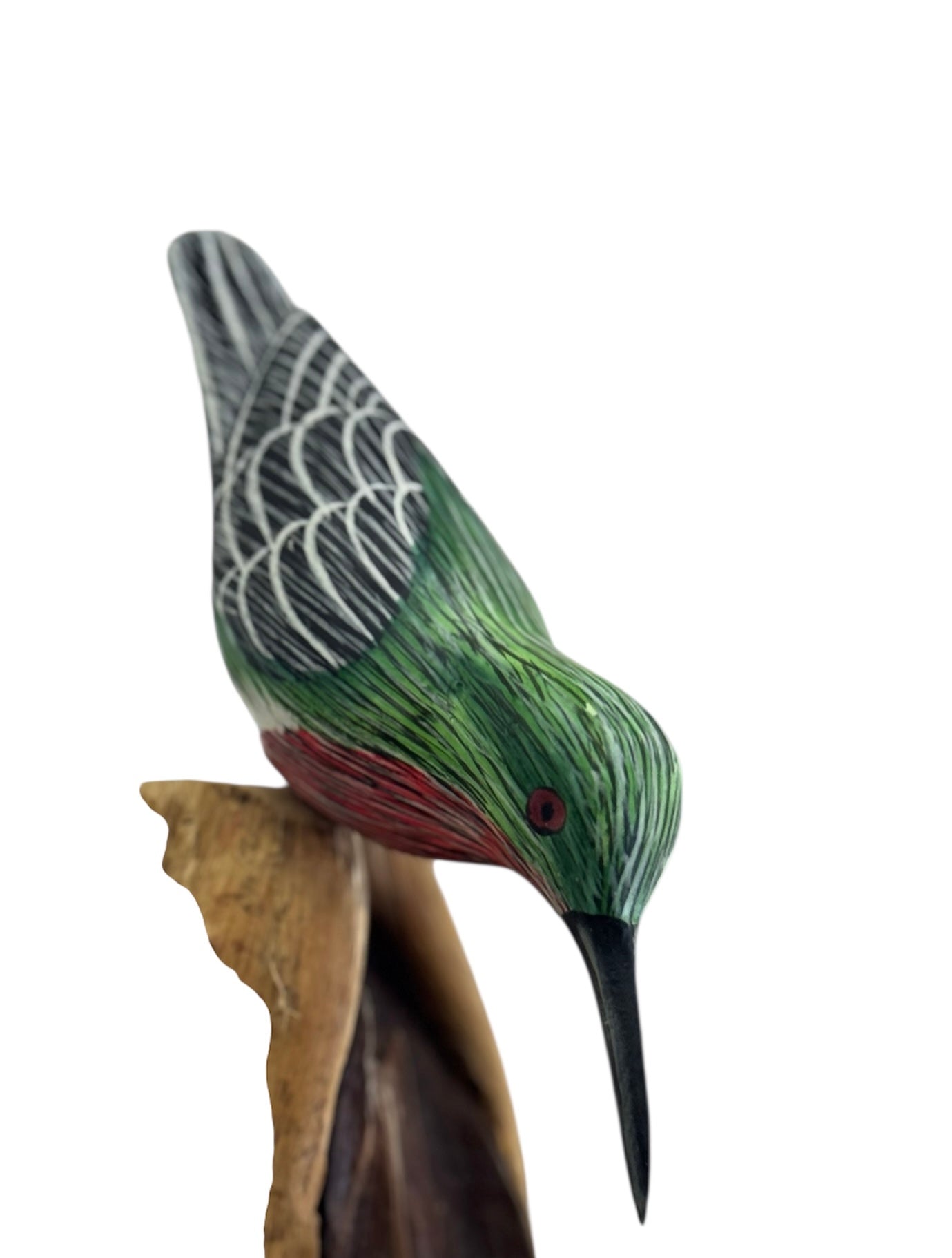Kolibrie op Rootwood met Paddenstoelen – 37 cm
