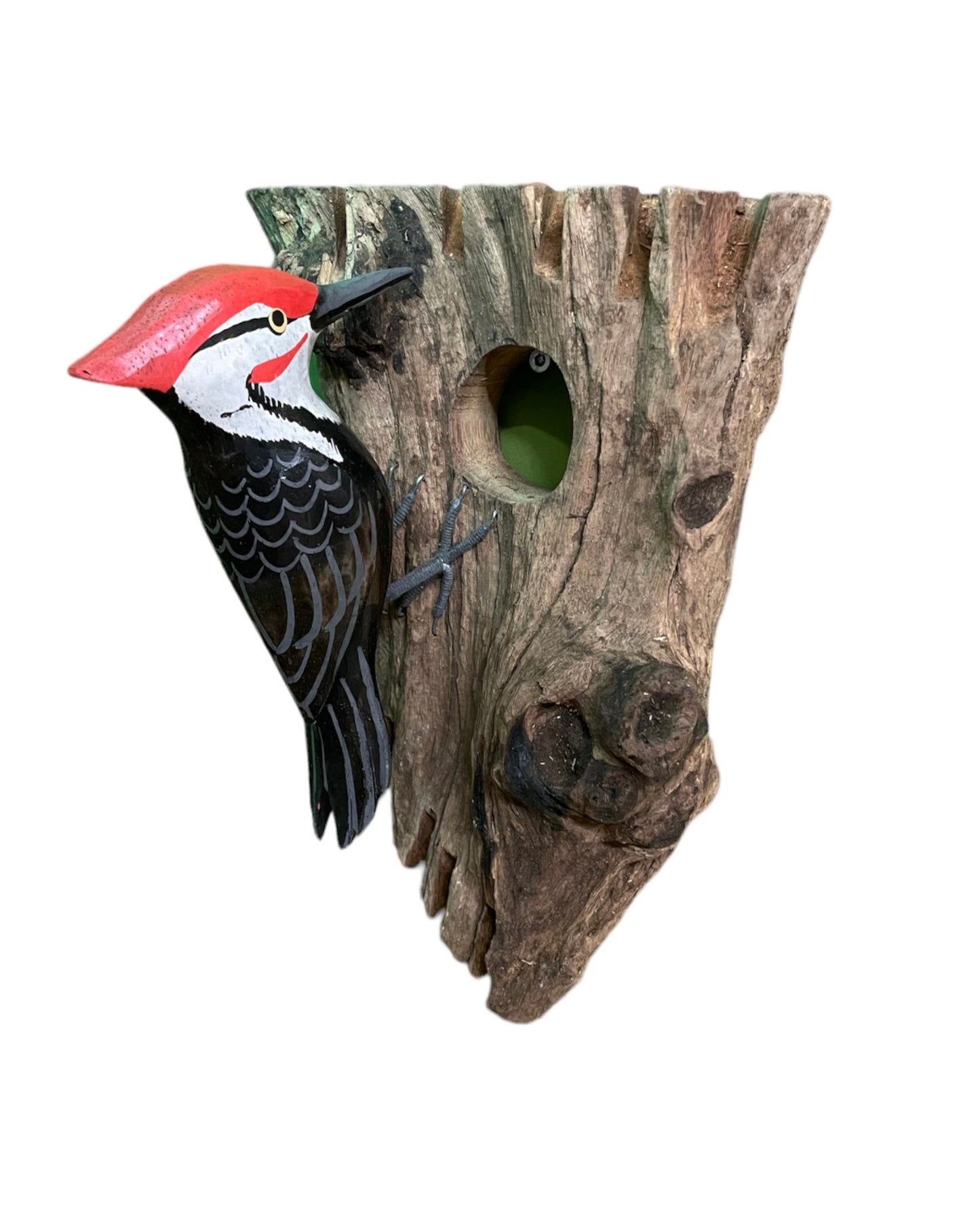 Specht tegen boom hangmodel