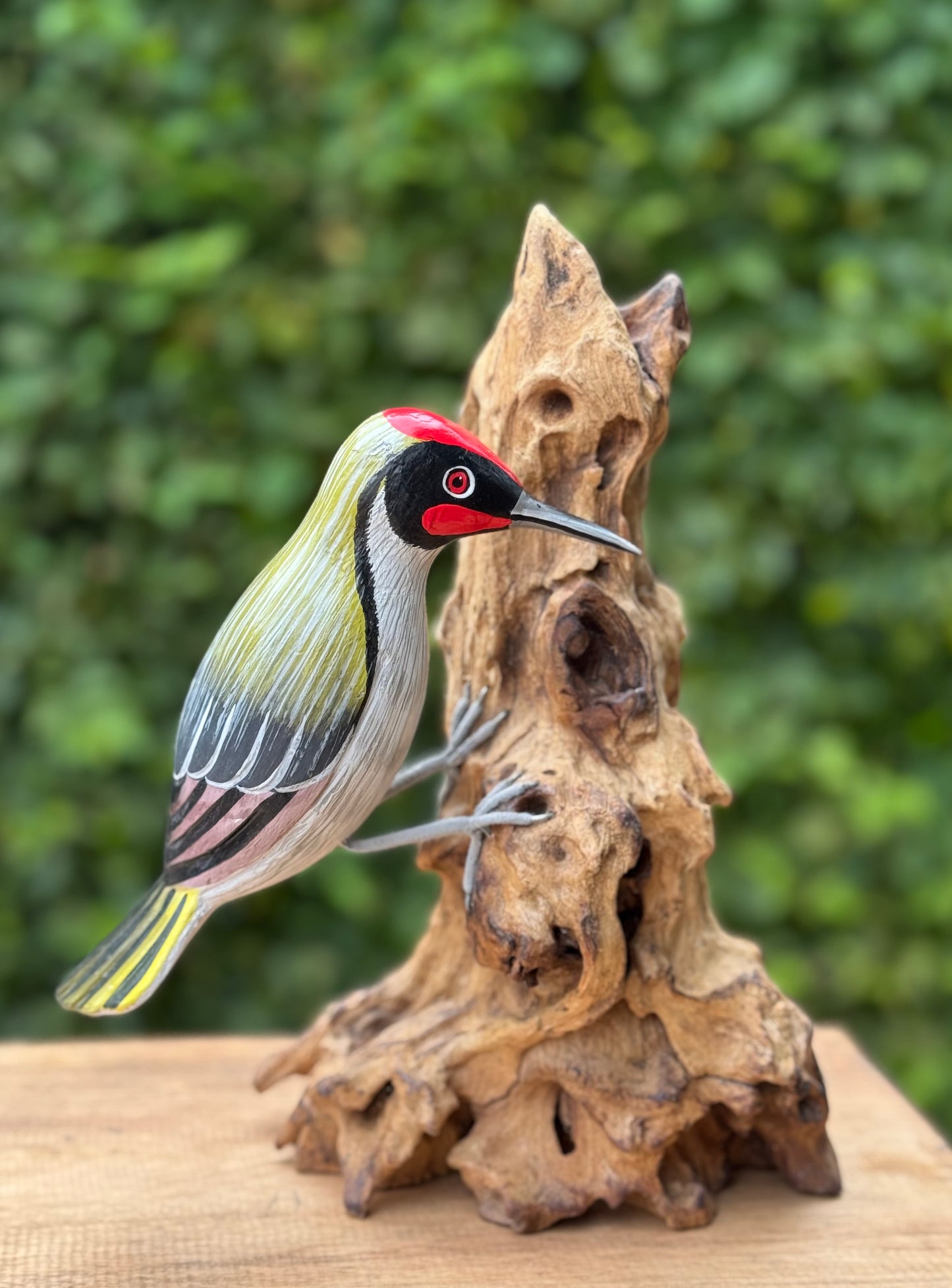 Specht tegen boom