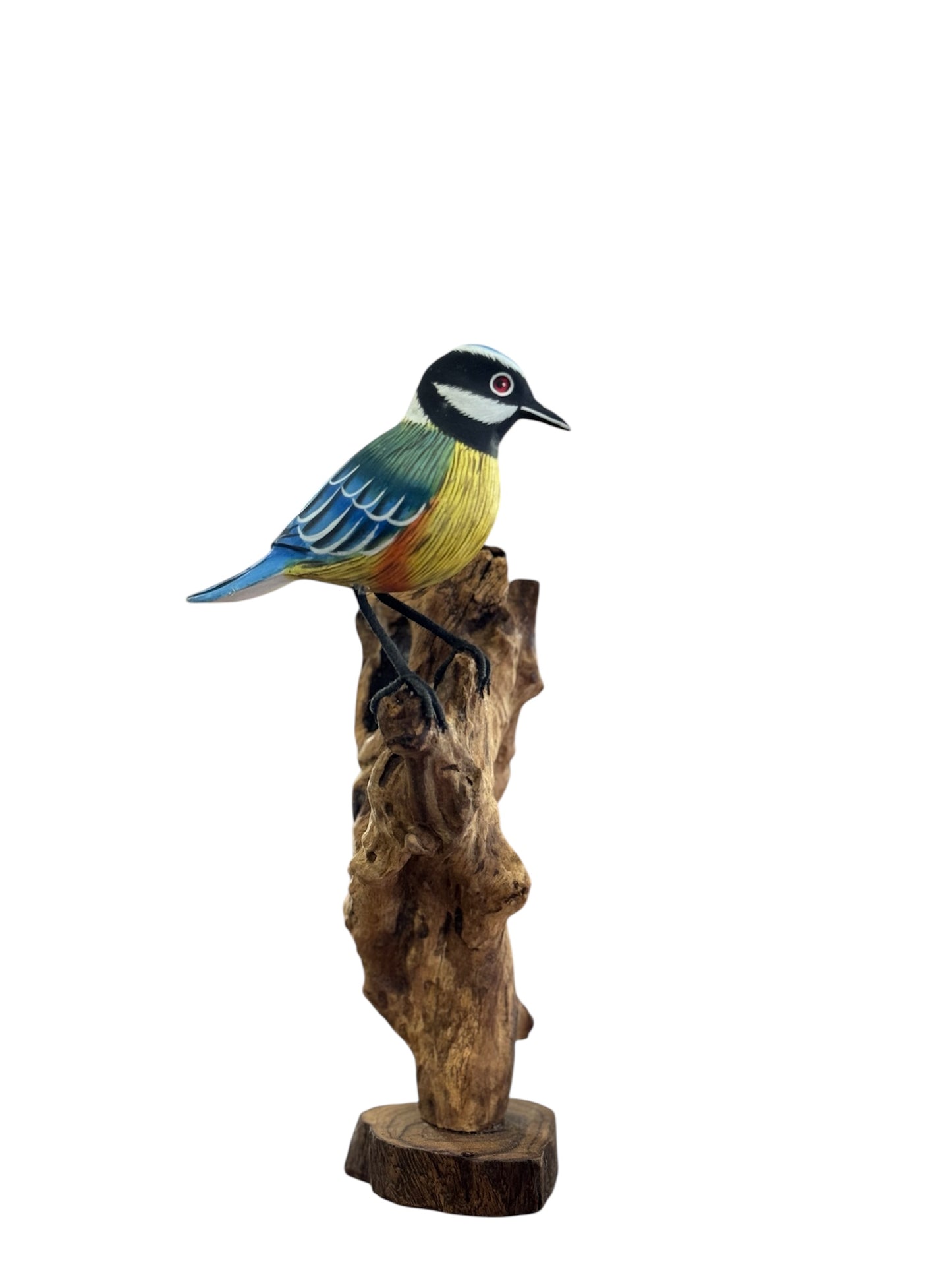 Koolmees op Rootwood – 30 cm