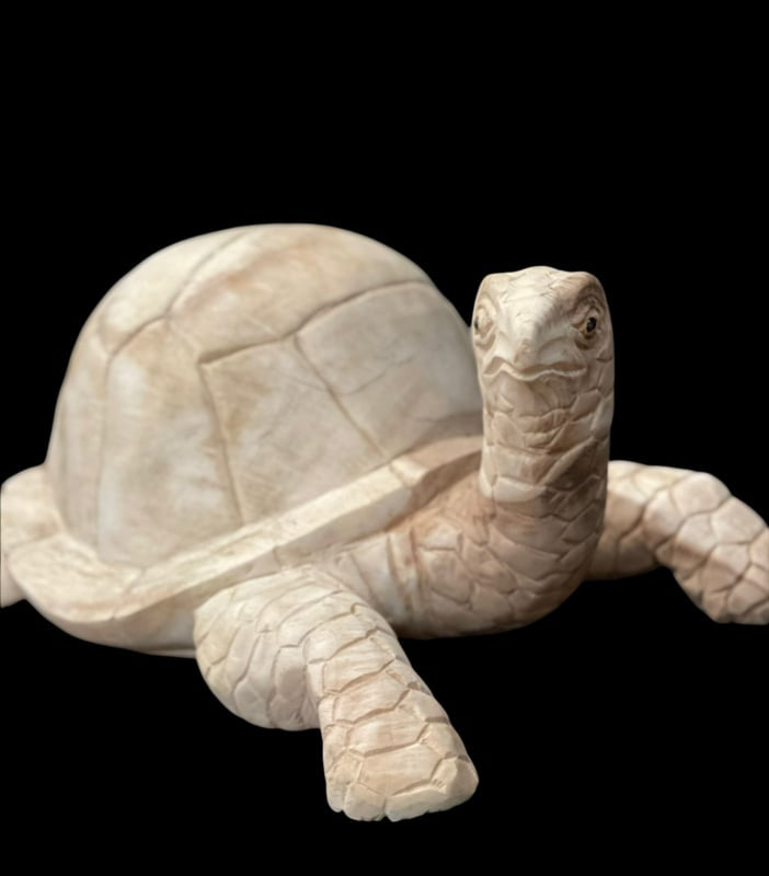 Schildpad van suar hout 40cm