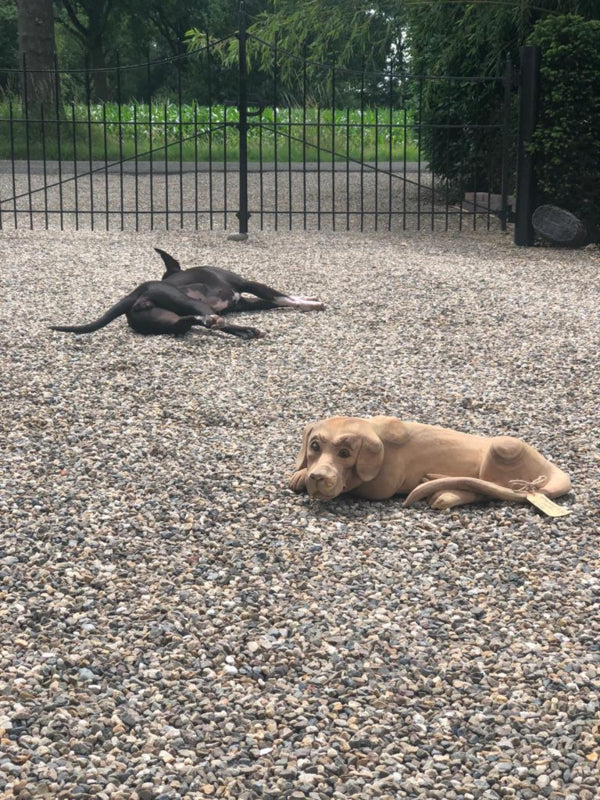 Dog sleeping suar 40cm
