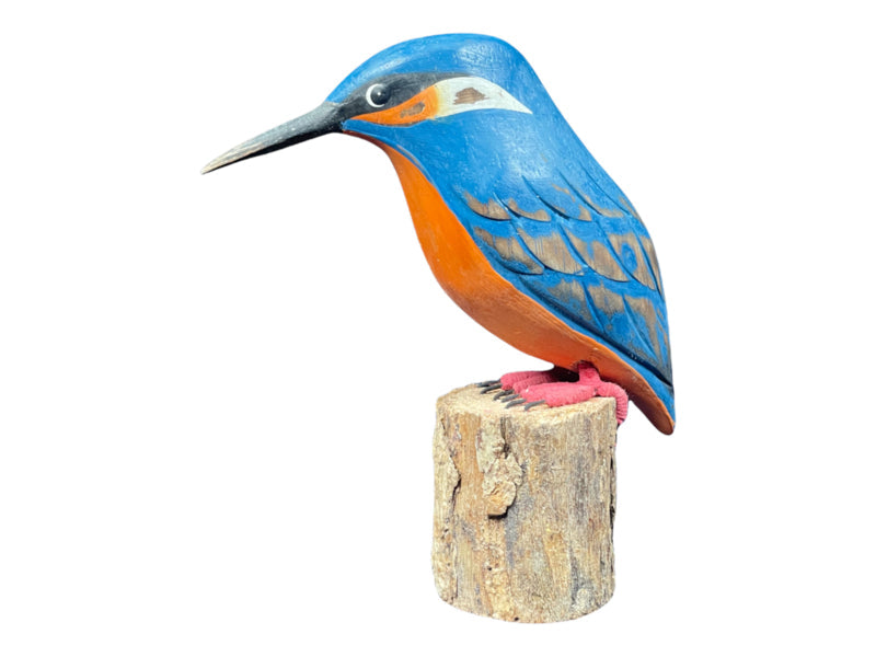 Ijsvogel