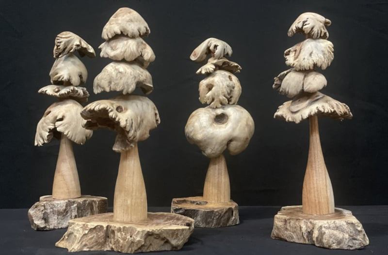 Boom op plateau parasite wood