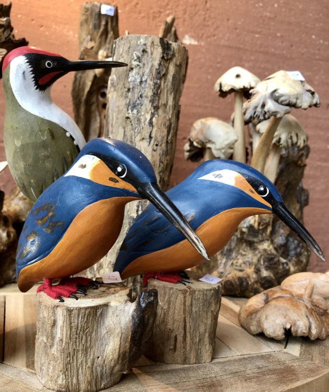 Ijsvogel