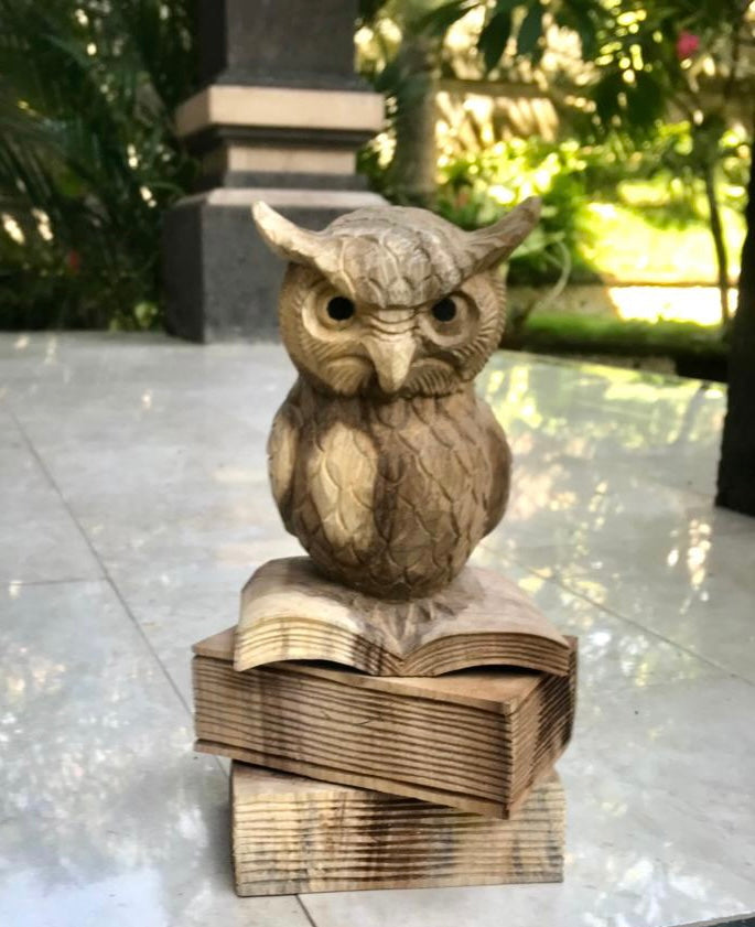 Uil op boeken 25cm