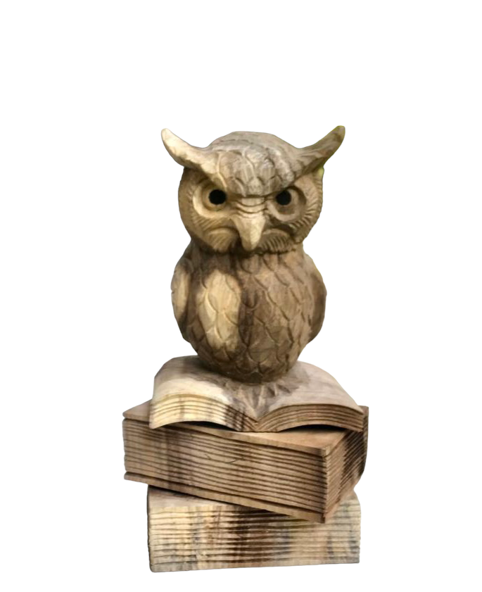 Uil op boeken 25cm