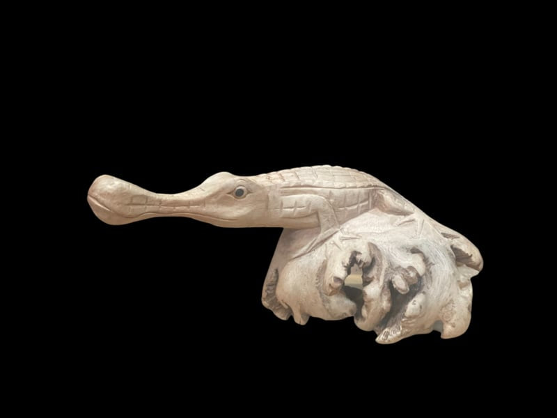 Crocodile parasite