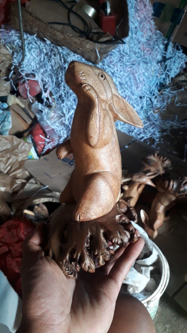 Rabbit parasite wood