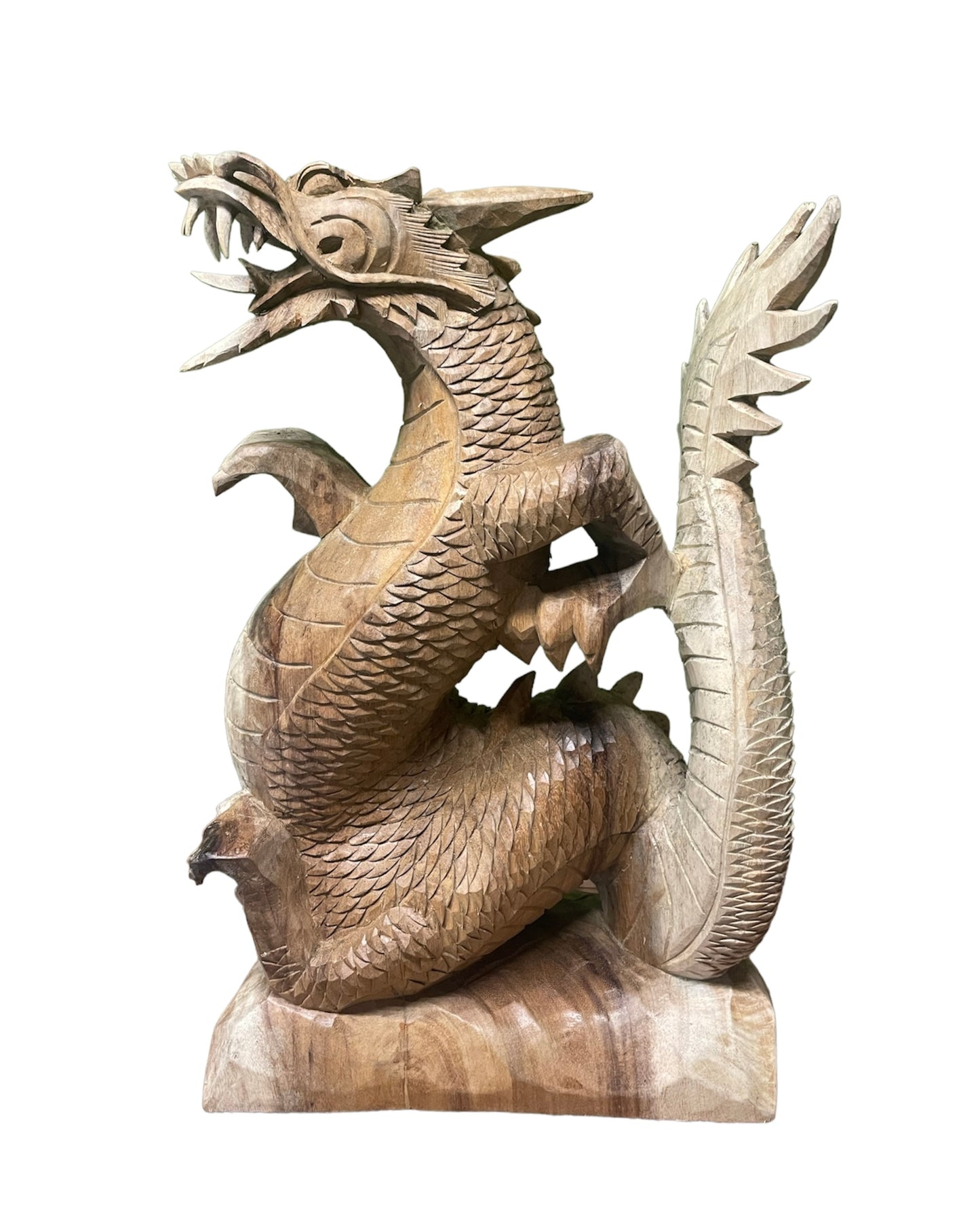 Dragon suar wings open 50cm