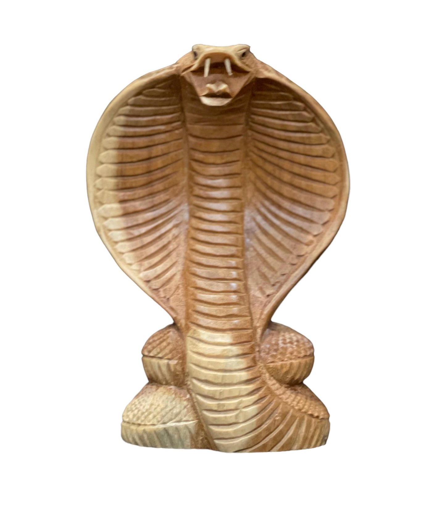 Cobra 15cm