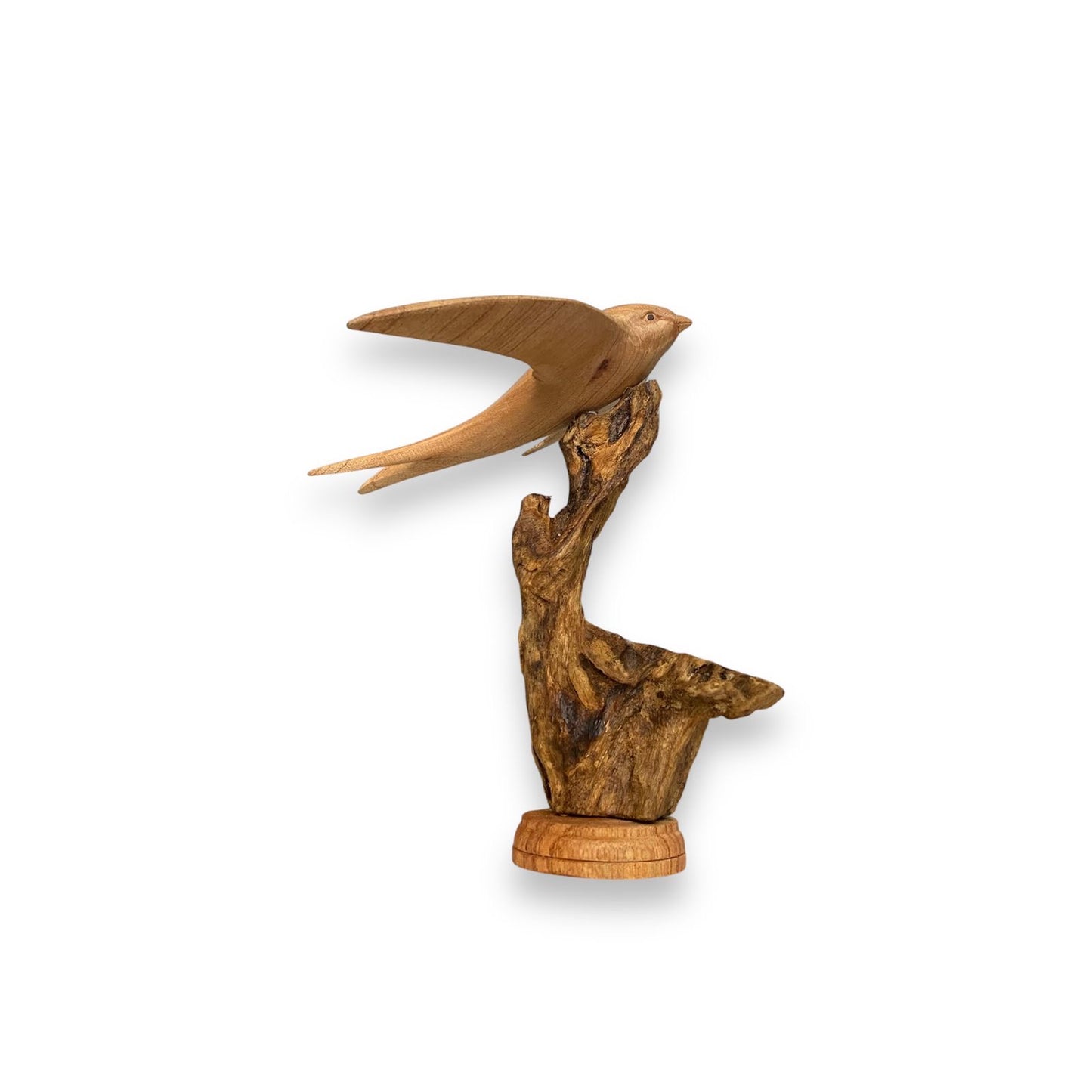 Zwaluw op rootwood - 20 cm