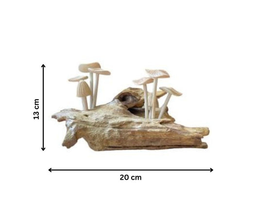 Paddenstoelen op moerashout – lang model