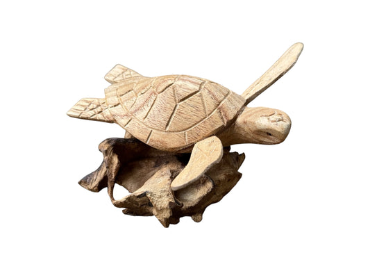 Schildpad op rootwood - 13cm