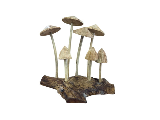 Paddenstoel 7-stam – 15 cm