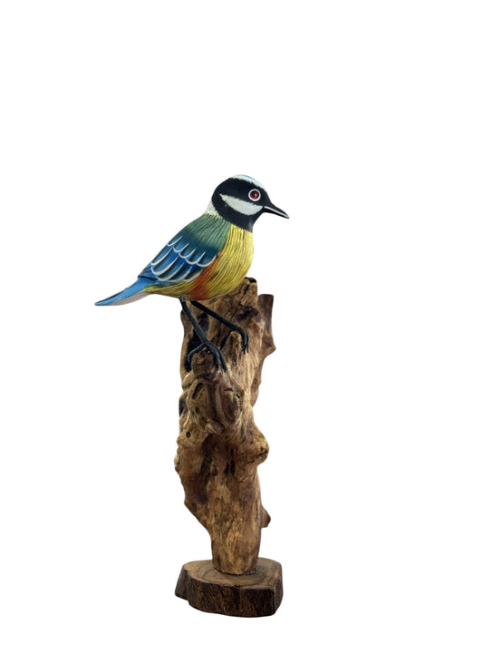Koolmees op Rootwood – 30 cm