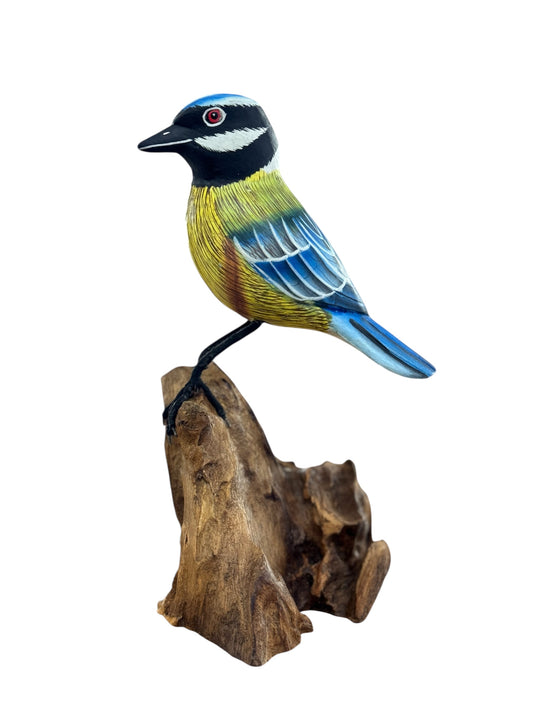 Koolmees op Rootwood – 18 cm