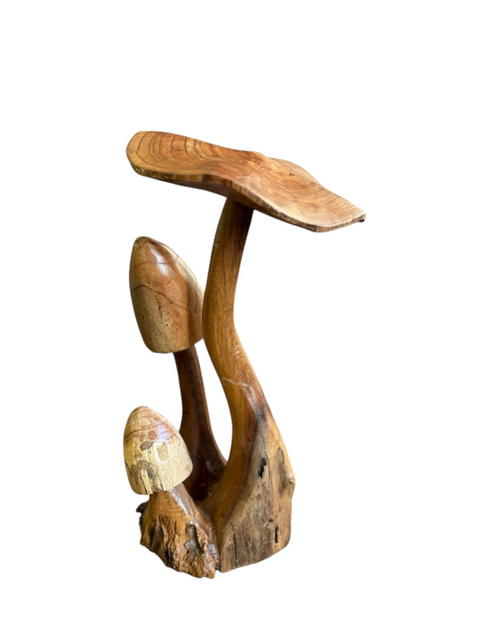 Paddenstoel – 3 stam uit één stam – 35 cm