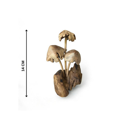Paddenstoel op Rootwood – Parasitewood dakje – 15 cm