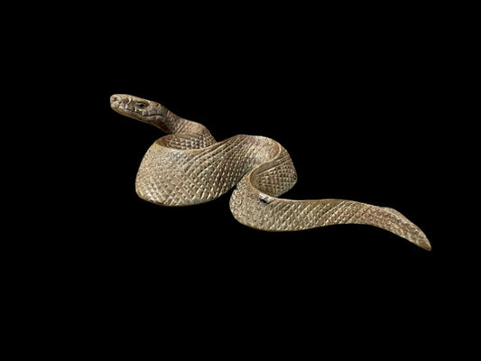 Snake 20cm