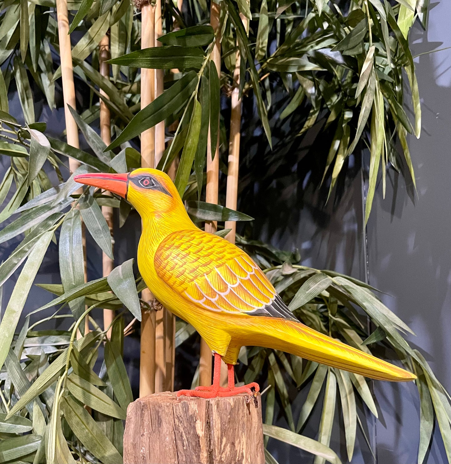Bird yellow cilalong